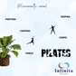 Kit de Adesivos Studio Pilates Frase - Movimento, Cura, Silhuetas, Fisioterapeuta.