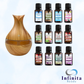 Kit 5 Essências Concentradas 15ml Para Umidificador de Ambiente - A Base de Água